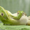 zzzzz
